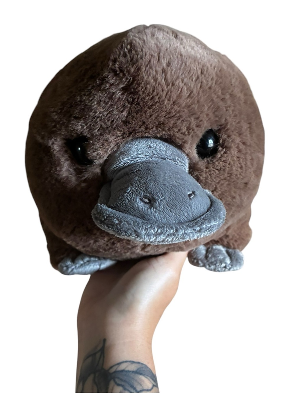 Aurora Chonky Platypus Plush Stuffed Animal